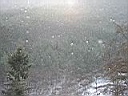 2003013106.JPG