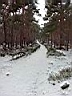 2003013109.JPG