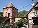 CIMG0737.JPG