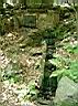 CIMG0743.JPG