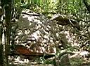 CIMG0744.JPG