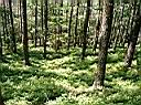 CIMG0764.JPG