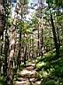 CIMG0765.JPG
