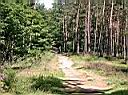 CIMG0773.JPG