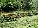 CIMG0844.JPG