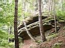 CIMG0850.JPG