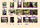 Fotogalerie