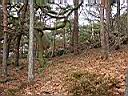 P2002122813.JPG