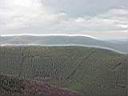 P2002122818.JPG