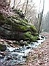 P2003022206.JPG