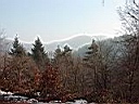 P2003022218.JPG