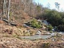 P2003022228.JPG