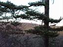 P2020126.JPG